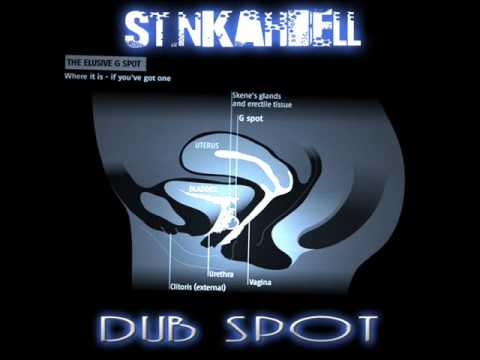 STINKAHBELL VS WAYNE MARSHALL - DUBSPOT (G-SPOT REMIX)