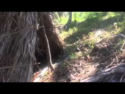 My survival shelter in Fiji