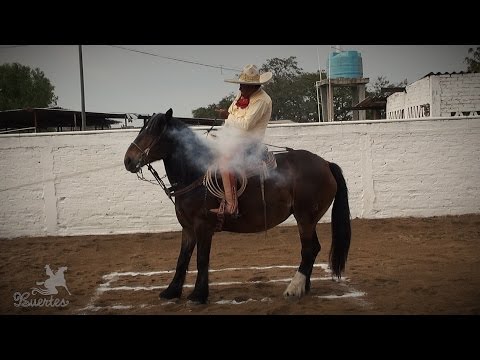 PIALES Cuco Carranza 3 of 3 Vallarta Championship 2017 MPI