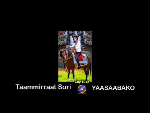 Taammirraat Sori - Ethiopian New music - Affan Oromoo - Yaasaabako