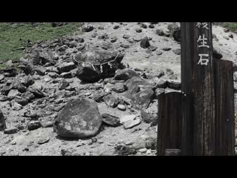 The killing stone - Tamamo no Mae