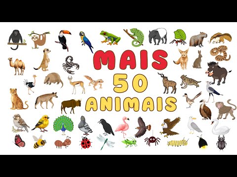 Descobrindo e Aprendendo MAIS 50 animais | Será que conhece todos?
