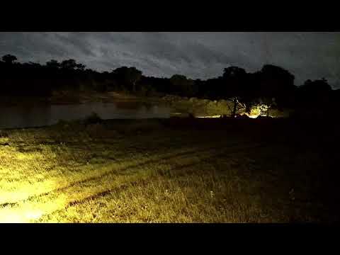 Djuma Private Game Reserve Live Stream