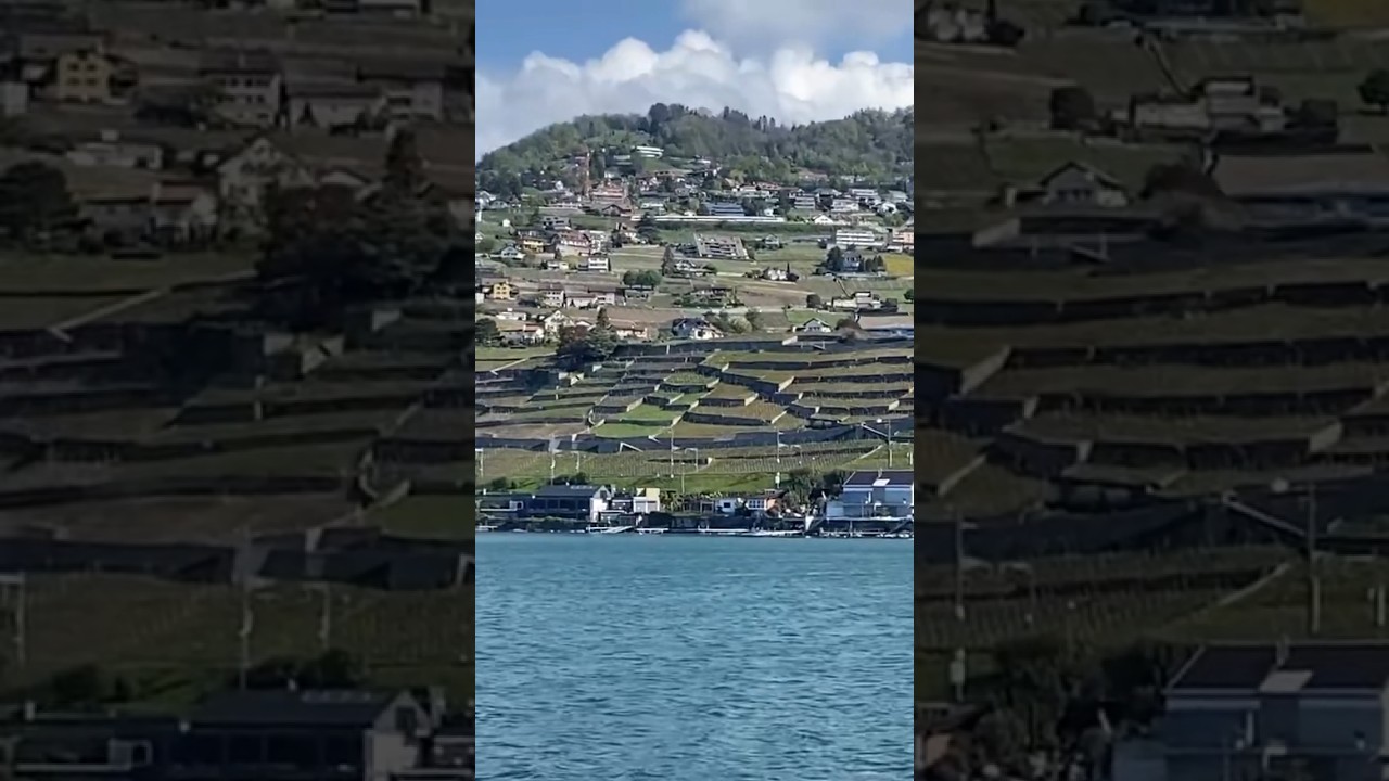 YouTube Short thumbnail