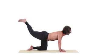 TIGERHALTUNG – VYAGHRA ASANA