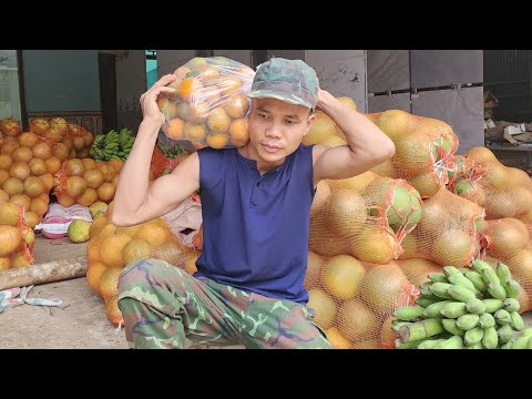 Working for a Day: Loading Oranges and Earning My Wage