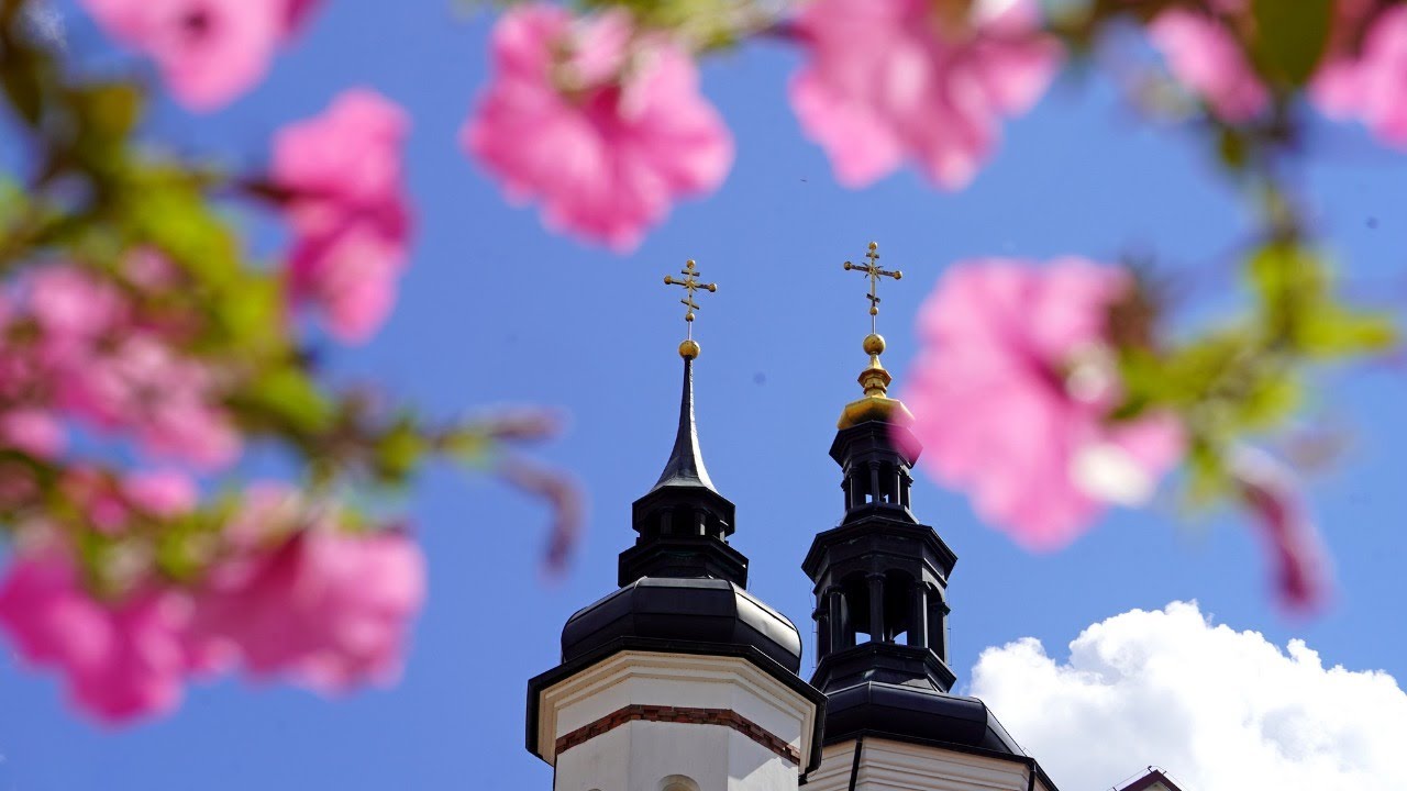 17.12.2020. У 21:30, УЖИВО МОЛИТВА ПРЕ СПАВАЊА И РАЗГОВОР СА СВЕШТЕНИКОМ О ВЕРИ И ЖИВОТУ