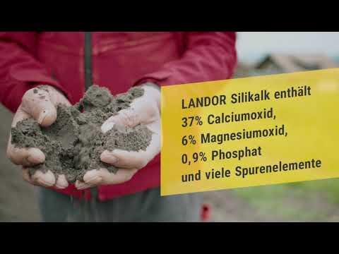 Silikalk - der silikatische Mehrwirkungskalk