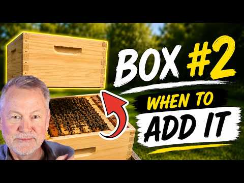 Beekeeping: The Secret to Adding the Second Box