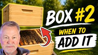 Beekeeping: The Secret to Adding the Second Box