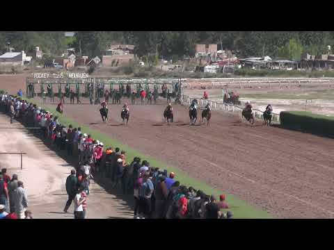 Quinta carrera dcia 275 mts: 1) GUSTAVITO (Gacitua/  Neuquén) 2) 22 Corto (Loverde/ Los menucos)