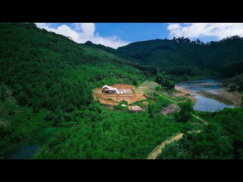 Full video: 120 days Building a farm, planting trees, raising livestock, cooking.