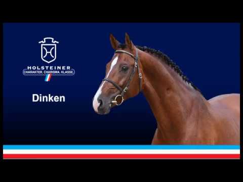 Dinken - Diarado x Cassini I, Holsteiner Verbandshengste 2019