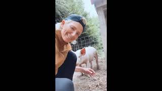 Elan | Shy Porter Historias Instagram 12 Julio 2020