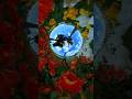 TULIP SHOT TOMAS 360 GRADOS INSTA360 EVERYTHING 360