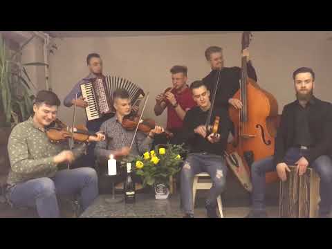 Pogwizdani - 7 czerwonych róż