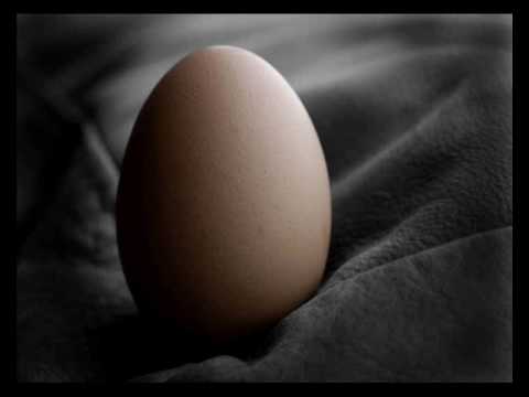 Hatching Of A Heart