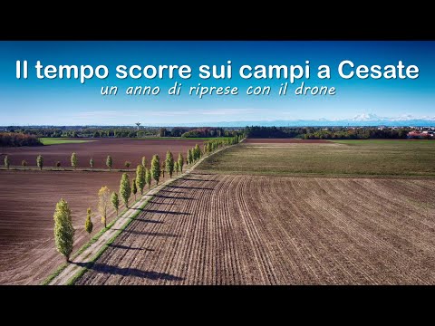 Il tempo scorre sui campi a Cesate - un anno di riprese con il drone