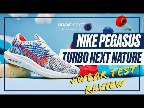 Nike Pegasus Turbo Next Nature