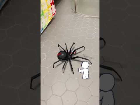 🎃 Halloween magic gone wrong 🎃