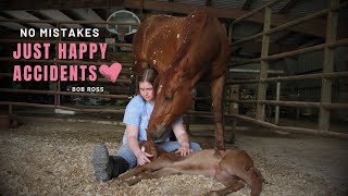 HORSE BIRTH + Baby Horse RUNS Right After Birth!!!