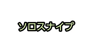 [Fortnite]ソロスナイプ配信！初見さん常連さん大歓迎！概要見てね！