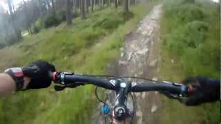 preview picture of video 'The North Face Trail: Grizedale Forest 1'