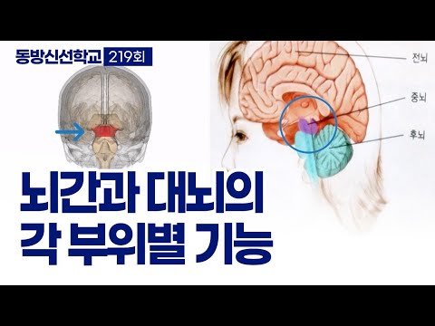 기초(숨) 수행과정