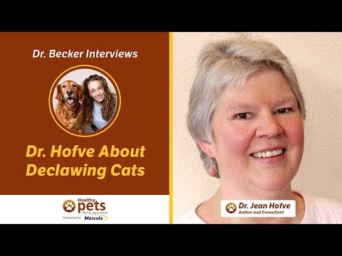 Dr. Becker Interviews Dr. Hofve About Declawing Cats