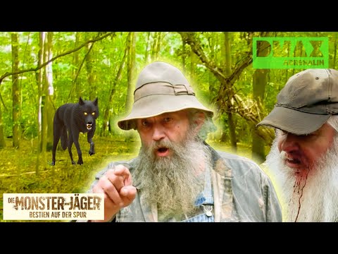 Der schwarze Wolf: Legende oder Wahnsinn? | Die Monsterjäger - Bestien auf der Spur | DMAX Adrenalin