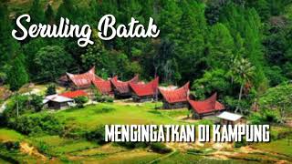 Download lagu Instrument Seruling Batak Mengingatkan Di Kampung || Shorts mp3