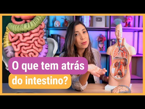 THORACIC AND ABDOMINAL ORGANS: review