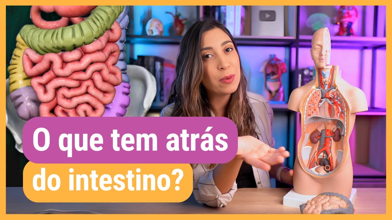ÓRGÃOS TORÁCICOS E ABDOMINAIS: revisão