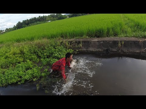 SE03EP122  - PANG BUBULABOG sa IRIGASYON | SAMPIT sa PANTE ( Catch & Cook ) San Pablo City, Laguna