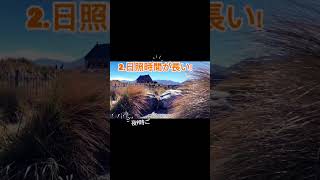 ニュージーランド旅行は日本の冬がオススメ！ #旅行 #観光 #クライストチャーチ #テカポ #クイーンズタウン