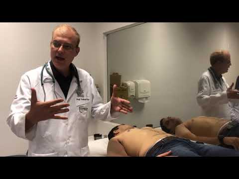 Physical examination of the abdomen - inspection and auscultation