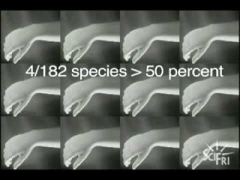 Life On Your Skin - YouTube