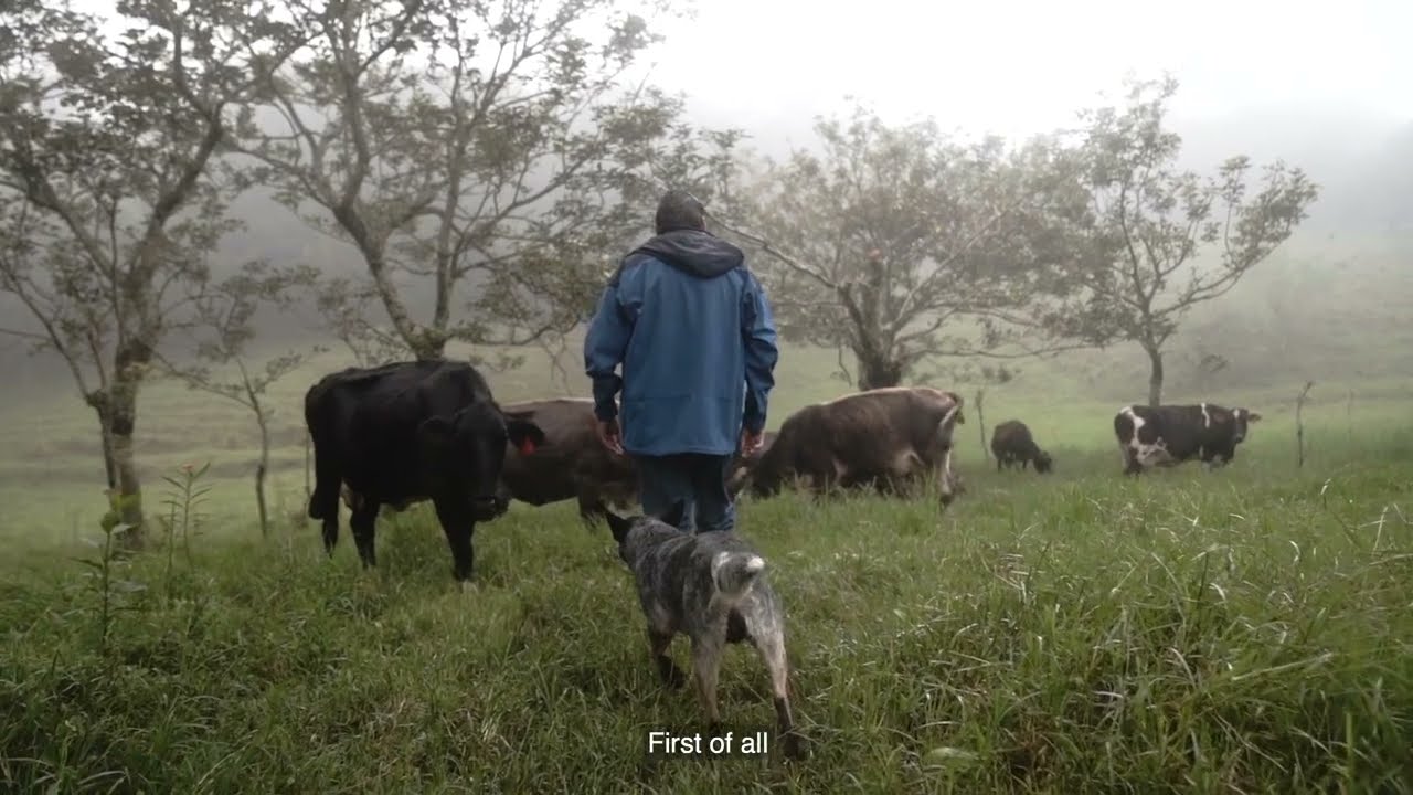 From Bank Employee to Local Cheesemaker: Senda Monteverde Hotel