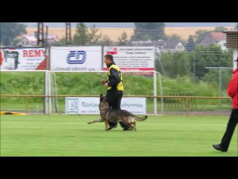 2016 Czech Nationals  Ladislav Vitvar with Flash Aykmar  Obedience