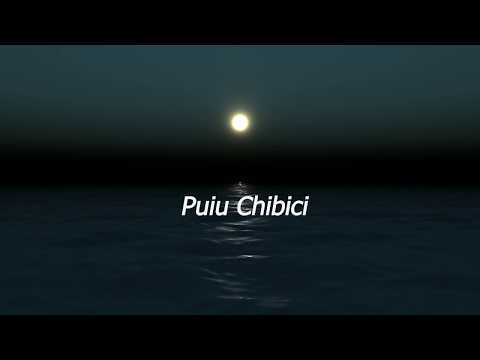 PUIU CHIBICI - ASCULTA-MA!