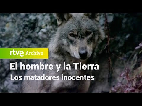 El hombre y la tierra: Chapter 69 - The Innocent Killers | RTVE Archivo