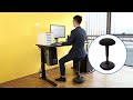 Ergonominė biuro kėdė Flexispot, reguliuojamo aukščio, 360° pasukama