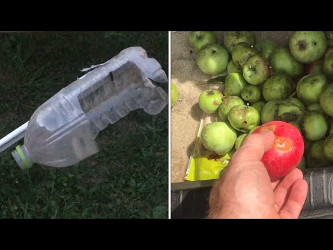 making a APPLE PICKER from an old plastic bottle