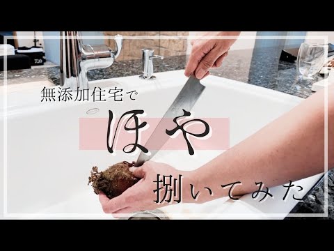 無添加住宅オリジナルキッチンでホヤ捌いてみた！！