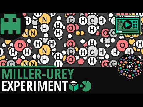 Miller Urey Experiment │Biologie Lernvideo [Learning Level Up]