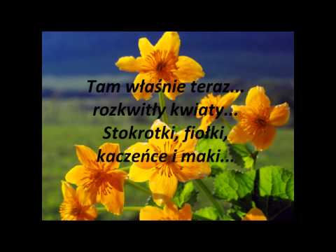 Polskie Kwiaty trąbka