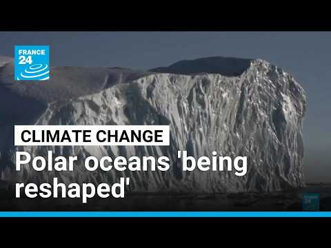 Climate change reshaping the polar oceans, says report