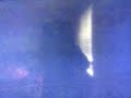 High Pitched Black Screen Of Death On My Pollyanna 1985 Vhs 1986 Reprint