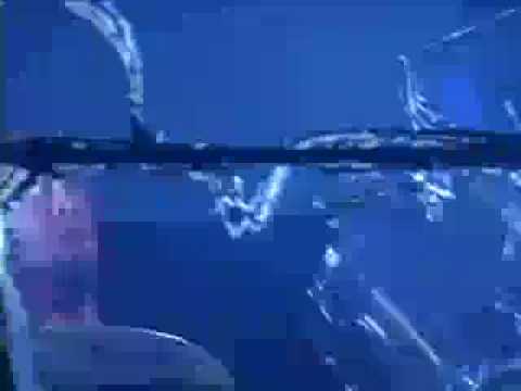 Videoclip de WTV — Ministry