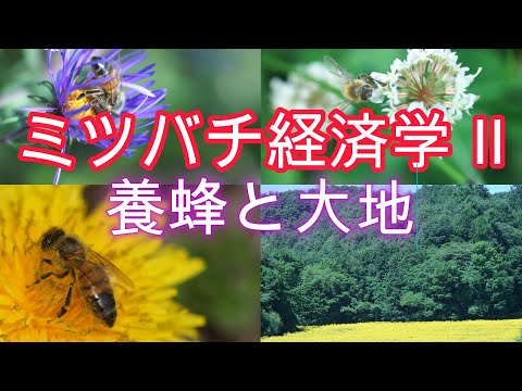 経済学科 ミツバチ経済学 Ⅱ／養蜂と大地／山崎亮一／東京農工大学農業経済学講義2024／日英字幕付き／Beekeeping economics Ⅱ／Ryoichi Yamazaki／ Eng sub